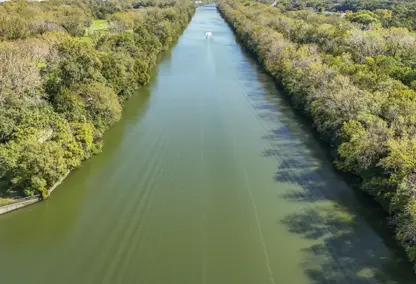 wide river with forest on either side and bot moving down the middle